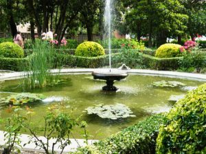 fuentedelasranas